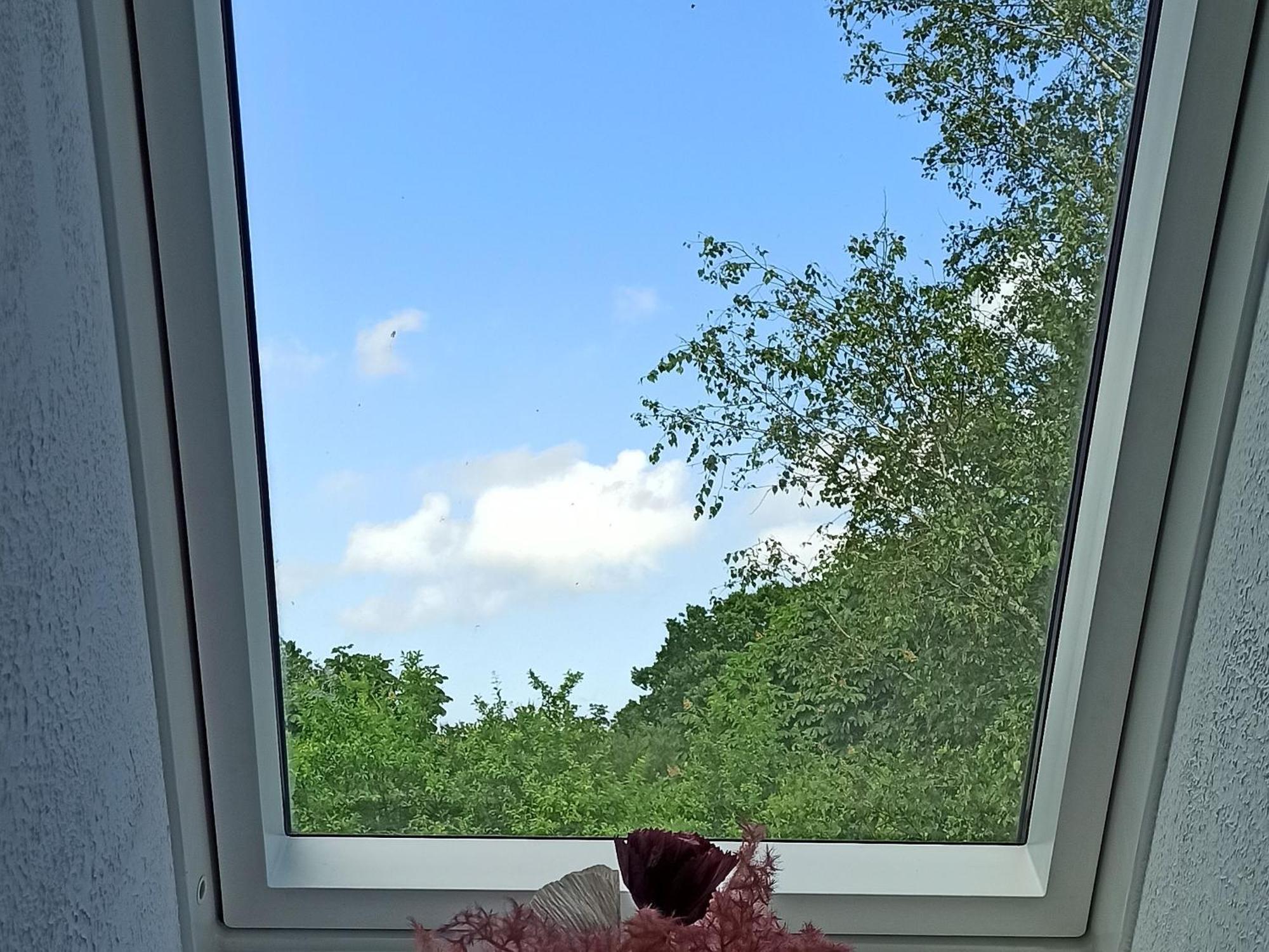 Ferienwohnung Kleiner Und Grosser Stern Stoltebüll Kültér fotó